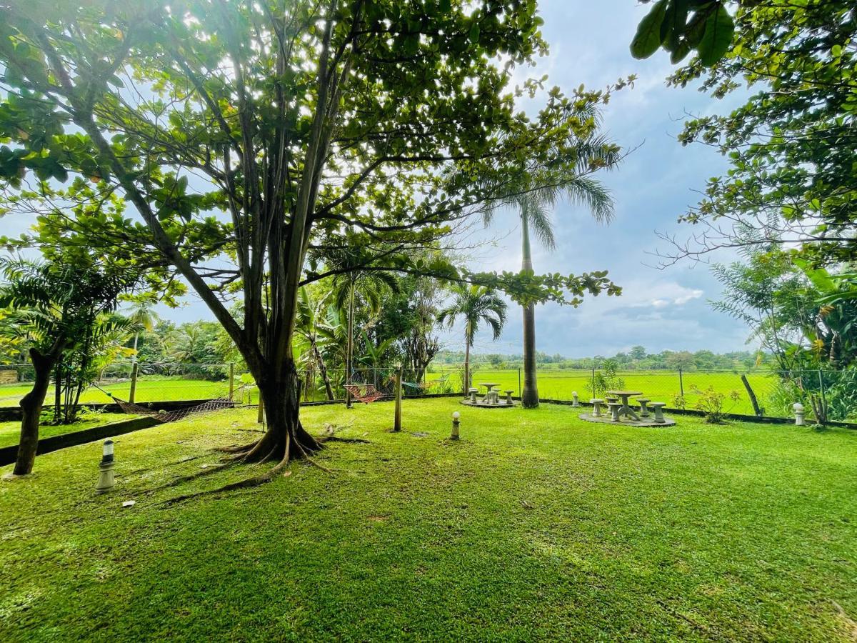 Tishan Holiday Resort Polonnaruwa Exterior foto